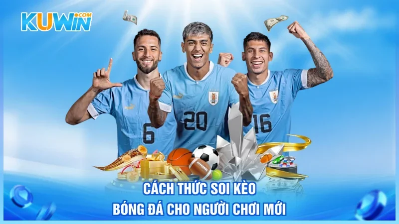 Cách thức soi kèo bóng đá cho người chơi mới