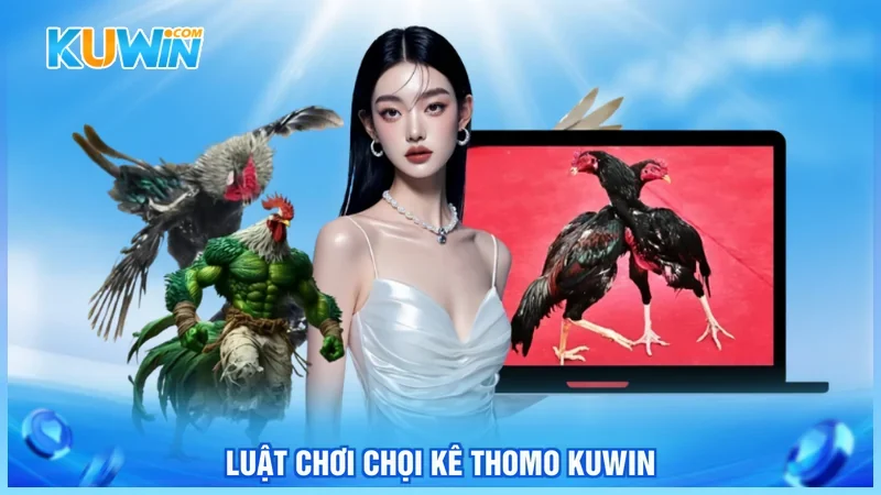 Luật chơi chọi kê thomo Kuwin