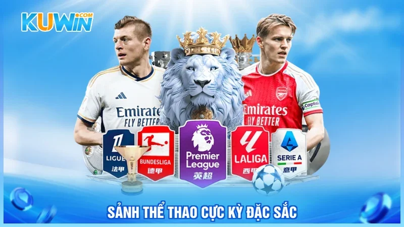 Sảnh thể thao cực kỳ đặc sắc