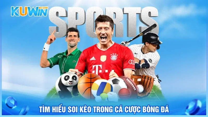 Tìm hiểu soi kèo trong cá cược bóng đá